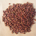 Grape seed bulk